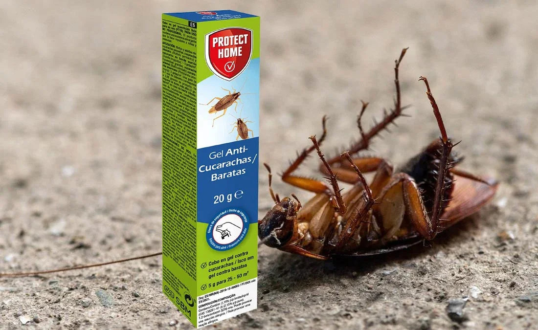 Inseticida em Seringa Gel Concentrado para Baratas 20g em atuação em pavimento