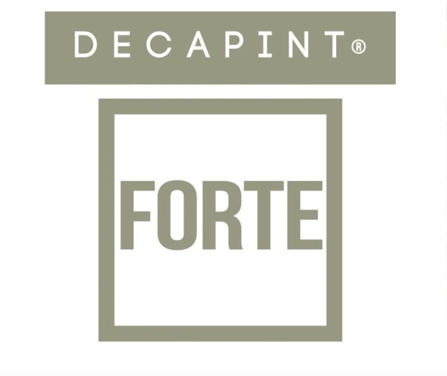 logotipo de Detergente Removedor de Graffitis em Gel 5 Litros Profissional da marca DECAPINT