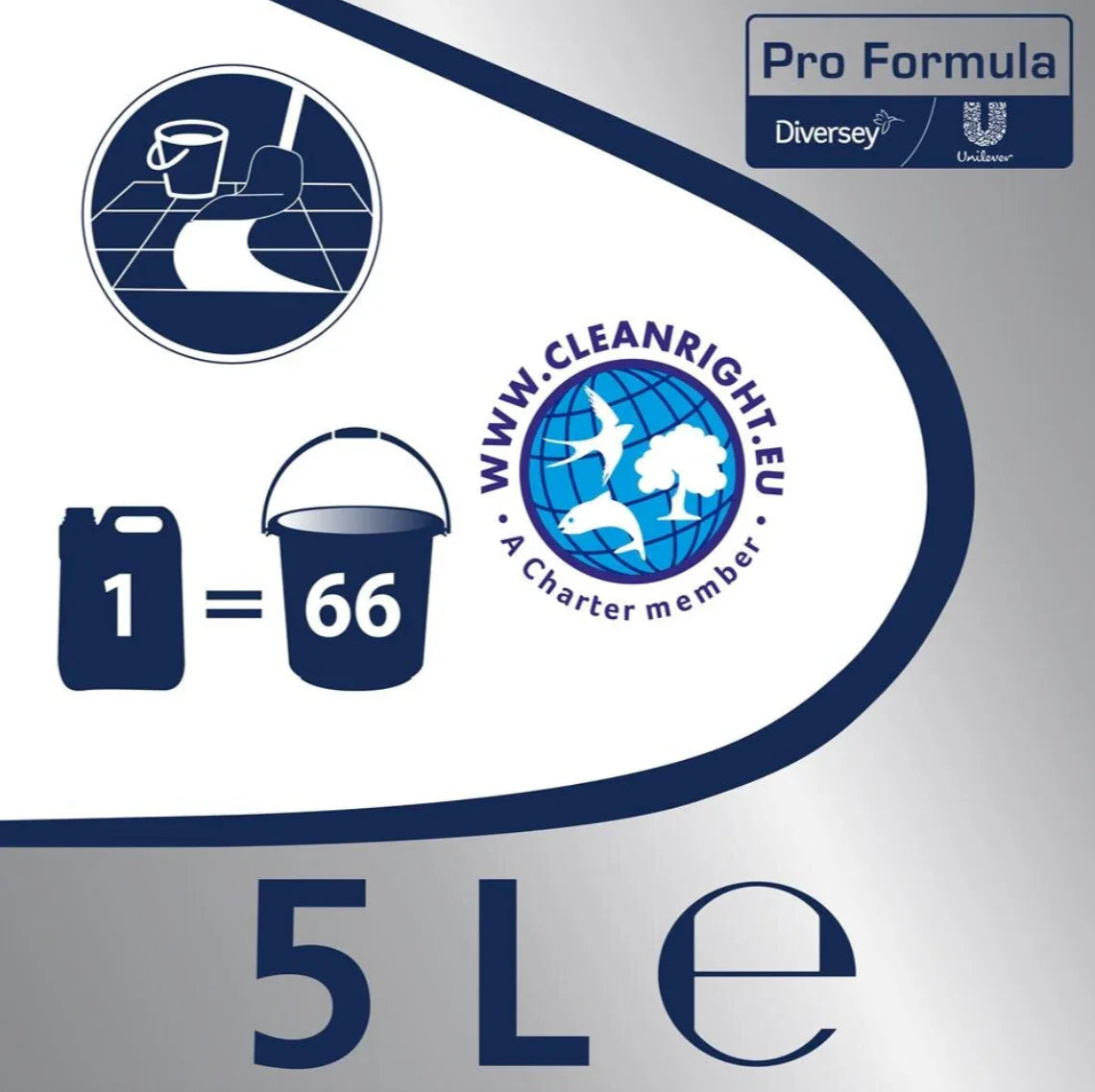 Rótulo de Garrafão de 5 Litros de Detergente Pavimentos Madeira com Sabão Cif Profissional