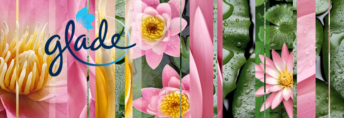 Ambientador Glade Brise Sense e Spray