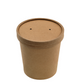 DELFI ECOLINE SCT (25un)