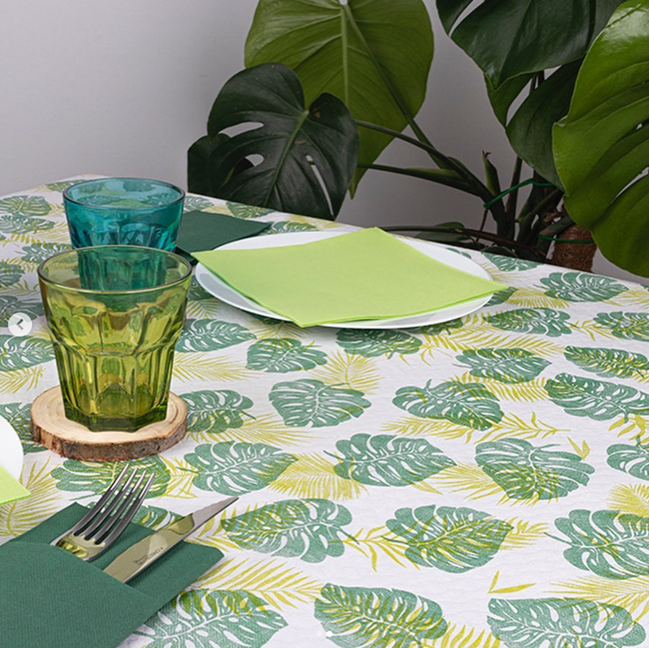 DELFI PRO MANTEL BLOCO DECO MONSTERA (1000fls)