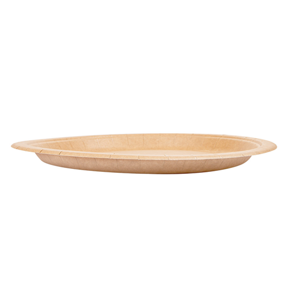 DELFI ECOLINE PC22 (50un)