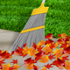 DELFI PRO GARDEN BROOM