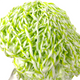 Esfregona Microfibras Bicolor 180g