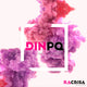 logotipo do fabricante DINPQ
