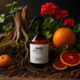 Ambientador Líquido Premium Earth | 500ml