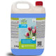 Garrafão de Detergente Limpa Vidros e Superfícies Ecológico 5 Litro da marca NATURSAFE XTRA GLASS