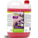Limpador Cítrico Wc Ecológico | Xtra Shine 5 L | DMC Higiene