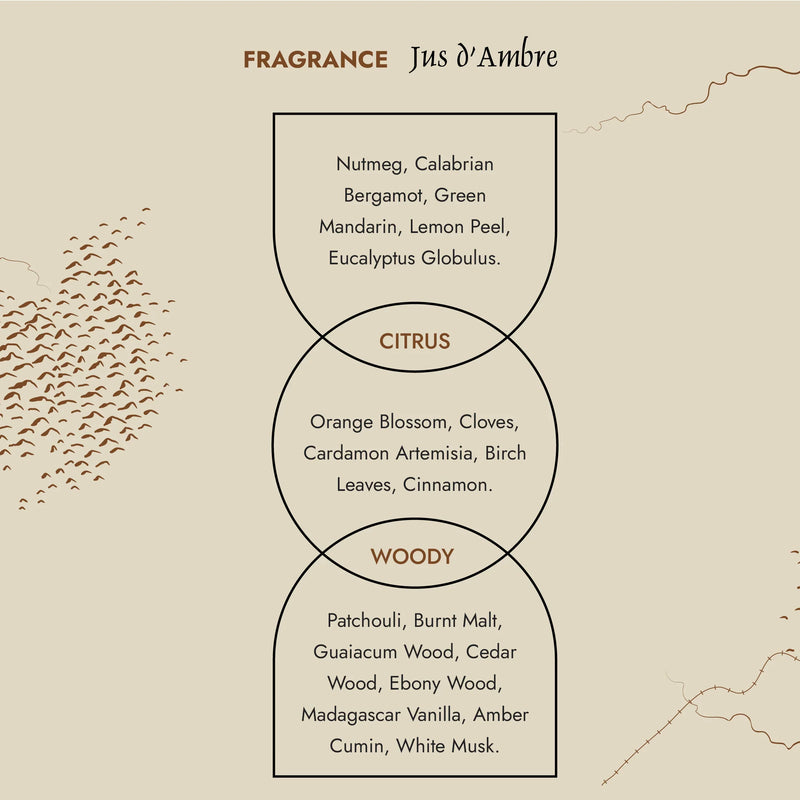 Ambientador Mikado Prija Jus d'Ambre | 200ml