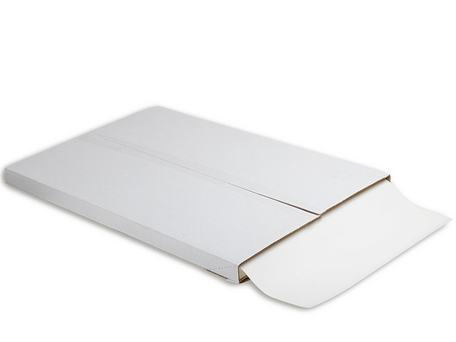 DELFI PRO PVRS (500fls)