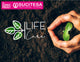 NATURSAFE XTRA LIFE CARE by SUCITESA Detergentes Ecológicos Profissionais