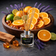 Ambientador Mini Mikado Premium 100ml