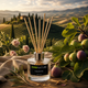 Ambientador Mini Mikado Premium 100ml